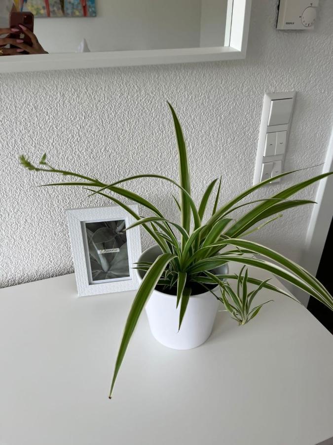 Stauffenberg Apartments Albstadt Εξωτερικό φωτογραφία